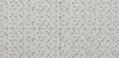 Mozaiek Silver 25 x 50